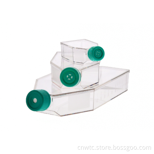 Disposable Sterilized Falcon Tissue Cell Culture Flask Filter Caps for Adherent Cells: T25 and T75 Sizes
